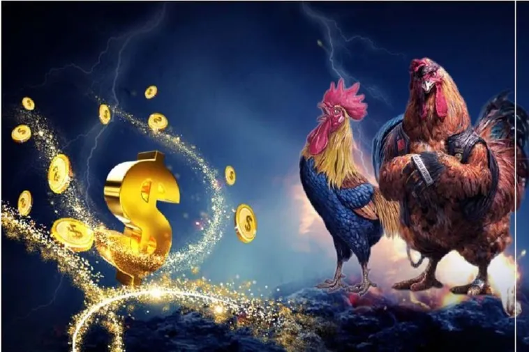 Cách Chơi Đá Gà WS168 Tại 888B: Bí Kíp Thắng Lớn Từ Cao Thủ
