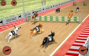 Bí Quyết Chinh Phục Game Đua Chó Tại 888B: Hành Trang Thắng Lớn