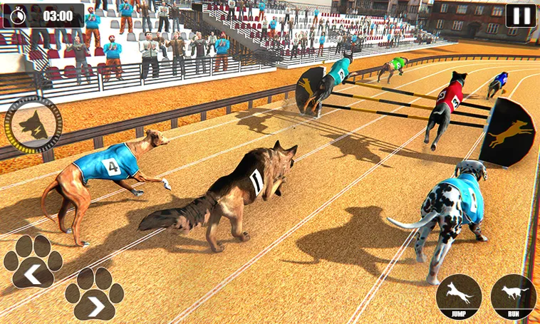 Bí Quyết Chinh Phục Game Đua Chó Tại 888B: Hành Trang Thắng Lớn